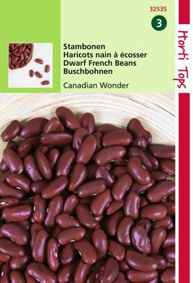Zaden Stambonen Canadian Wonder (Kidney) 15g Hortitops - Hortitops