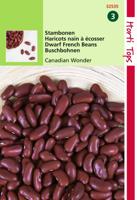 Zaden Stambonen Canadian Wonder (Kidney) 15g Hortitops - Hortitops - thumbnail