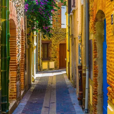 Alexsar Art Tuinschilderij gele steeg 70x70cm