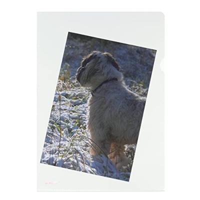 Herlitz Zichttassen 10843746 DIN A4 PP 0.11 mm Glas (helder) 10843746 100 stuk(s) - thumbnail