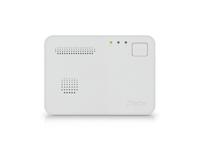 Alecto COA1910 Koolmonoxidemelder met 10 jaar sensorlooptijd - COA1910 - thumbnail