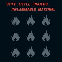 Inflammable Material - LP (0190295448271) - thumbnail