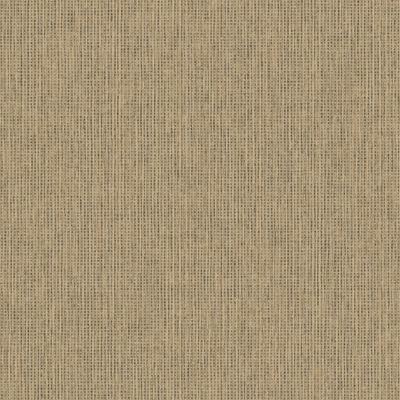 Holden Textura- Pique Beige/Black - 66131