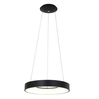 Steinhauer Hanglamp Ringlede Ø 48 cm 2695 zwart Steinhauer Hanglamp Ringlede Ø 48 cm 2695 zwart