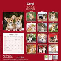 Welsh Corgi Kalender 2026 - thumbnail