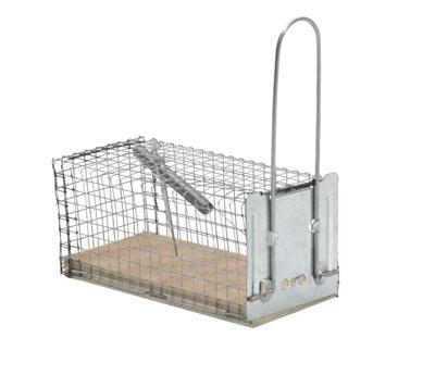 Protect Home Vangkooi ratten 1 stuks