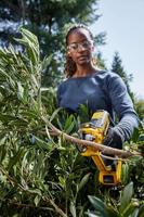 DeWALT DCMPP568P1-QW 18V XR snoeischaar incl. 1x 5.0Ah accu en lader - thumbnail