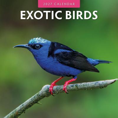 Exotic Birds Kalender 2027