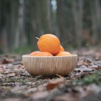 Pandoo Bamboe kom/schaal - m - 20 cm - thumbnail