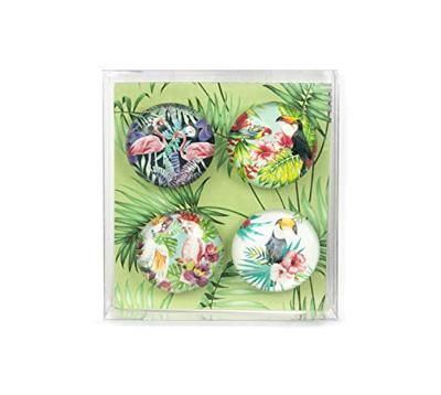 Trendform Magnet Eye - Jungle Bird - set van 4 verschillende