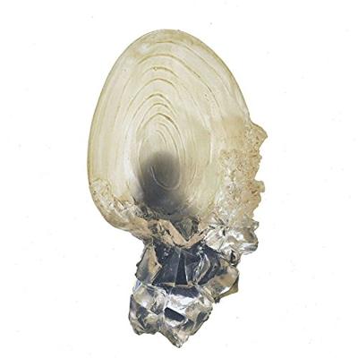 Noble Collection Harry Potter: The Crystal Goblet decoratie