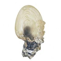 Noble Collection Harry Potter: The Crystal Goblet decoratie - thumbnail