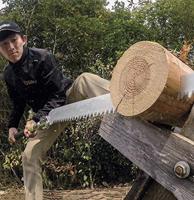 Silky Natanoka 300 - 30 cm zaagblad snoeizaag - thumbnail