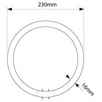 Philips MASTER TL5C Circulair 22W - 840 Koel Wit | 22cm - thumbnail