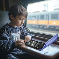 De elektronische reisschaakset - thumbnail