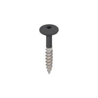 Torx schroef RVS 32 mm 100st Zwartgrijs - Keralit (2890) - thumbnail
