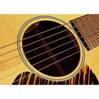 LR Baggs Element Active System akoestische gitaar preamp-set - thumbnail