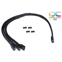 Alphacool Y-Kabel RGB 4polig > 3x 4polig splitterkabel - thumbnail