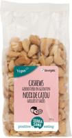 Terrasana Terrasana Cashewnoten Roasted Zout Bio (250g) - thumbnail