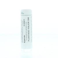 Homeoden Heel Plantago major 30K 6 Gram - thumbnail