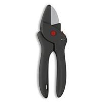 Bloemenschaar Paul zwart - thumbnail