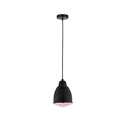 Paulmann 79763 Hanglamp E27 Zwart