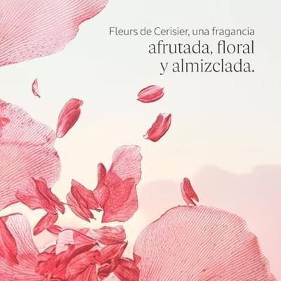 L'Occitane Cherry Blossom Shower Gel 250ml