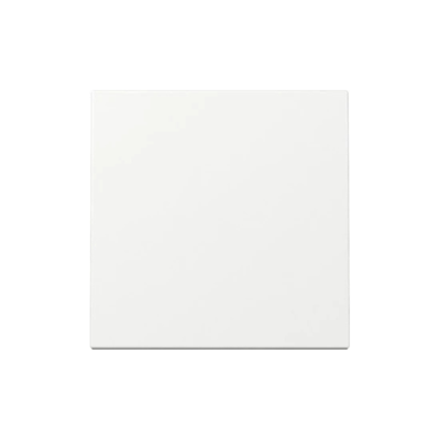 Gira Bedieningswip Wisselschakelaar - Systeem 55 Wit Glanzend (329603) Gira Bedieningswip Wisselschakelaar - Systeem 55 Wit Glanzend (329603)