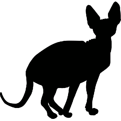 Kat - Muursticker Kat - Muursticker