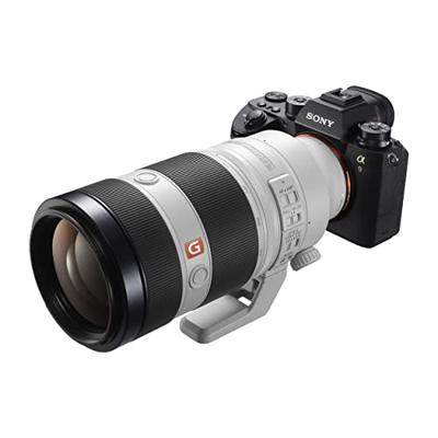 Sony FE 100-400mm F/4.5-5.6 GM OSS