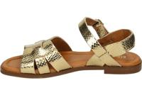 Red Rag 79664 - alle - thumbnail