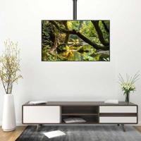 TV houder TM Electron 32" - 65" 60 Kg - thumbnail