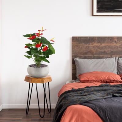 Anthurium kunstplant 60cm - rood