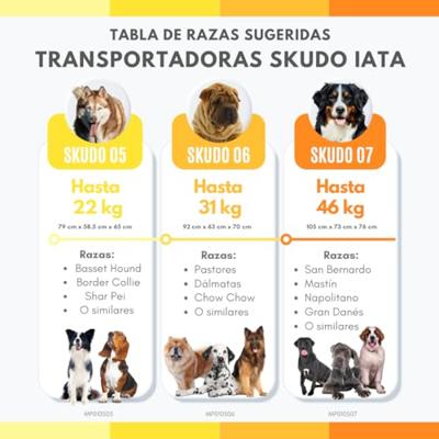 SKUDO TRANSPORTBOX IATA TAUPE/ZAND S 60X40X39 CM - thumbnail