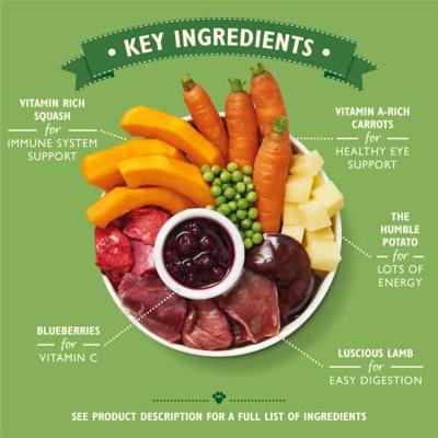LILY'S KITCHEN DOG ADULT CLASSIC DINNERS TRAY MULTIPACK