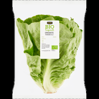 Jumbo Biologisch Romaine Sla 1 Stuk - thumbnail