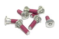 TRW bouten set screw set 7pcs. m8x1,25 - thumbnail