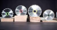 Metabo 628056000 Cirkelzaagblad 315 mm 1 stuk(s) - thumbnail