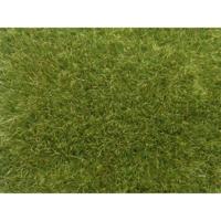 NOCH 07118 Wildgras Groen (gemiddeld) - thumbnail
