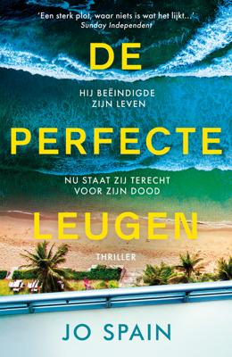De perfecte leugen - Jo Spain - ebook