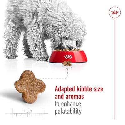 Royal Canin canin mini adult +8 - thumbnail