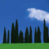 Hama Filter Circulair 52 MM - thumbnail