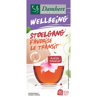 Damhert Damhert Tea Time Stoelgang (20st)