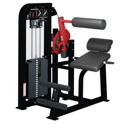 Hammer Strength Select Back Extension Hammer Strength Select Back Extension