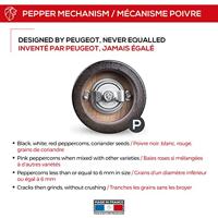 Peugeot Fidji Zoutmolen 20 cm - Zwart - thumbnail