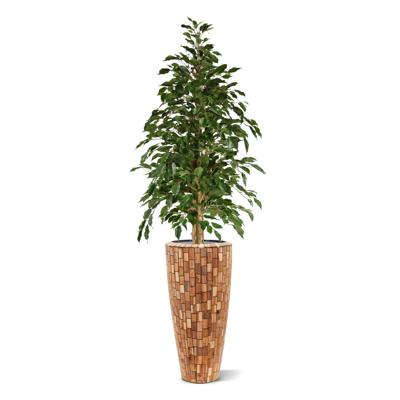 Ficus Exotica kunstboom 150cm - groen Ficus Exotica kunstboom 150cm - groen
