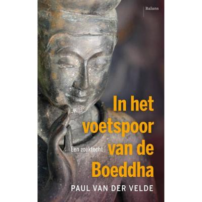 In de huid van de Boeddha (Paperback)
