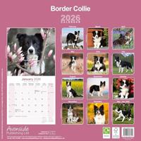Border Collie Kalender 2026 - thumbnail