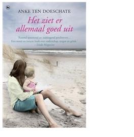 Het ziet er allemaal goed uit - Anke ten Doeschate - ebook