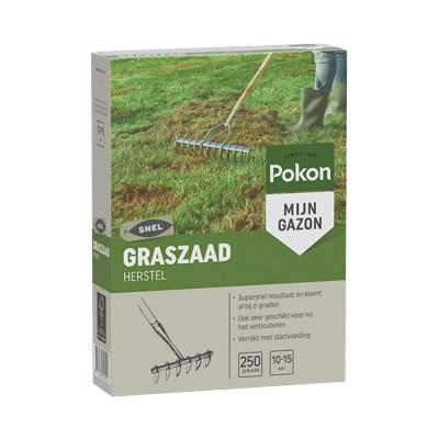 Pokon Graszaad Herstel 250g